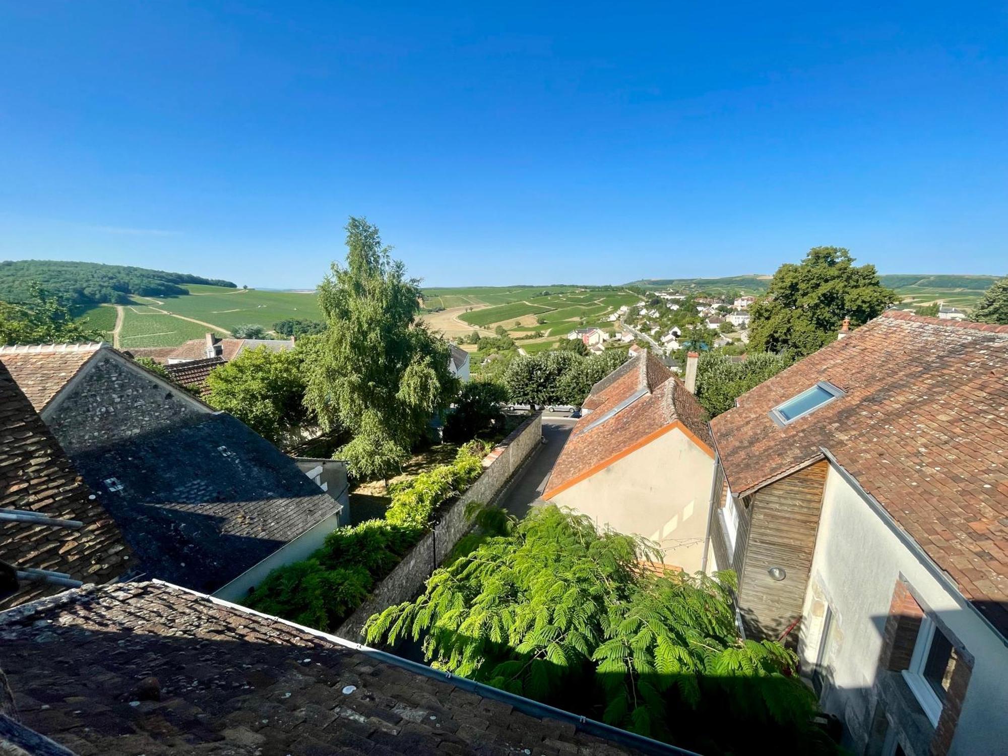 Appartement Cosy Vue Sur Le Vignoble Sancerre Exteriér fotografie